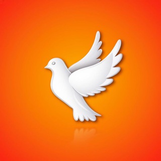 Поговорим о вечном