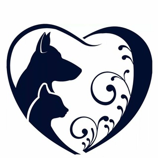 Волонтёрская помощь бездомным животным «Преданное сердце» г. Балашиха