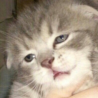 Предпримематель