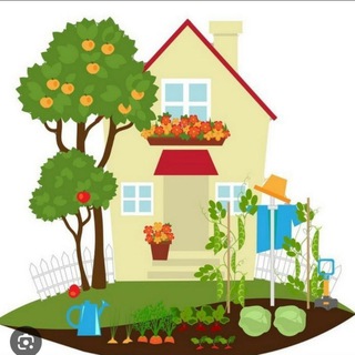 Твоя прекрасная дача❤️