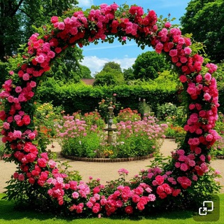 Мой прекрасный сад 🏡