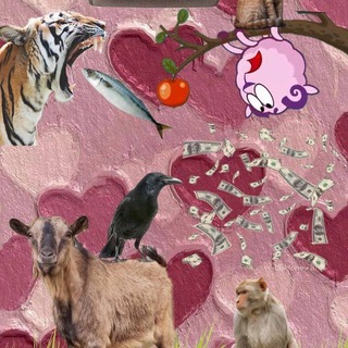 Чат Розыгрышей