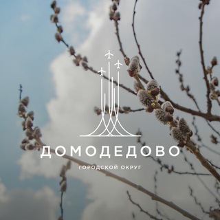 Администрация г. о. Домодедово