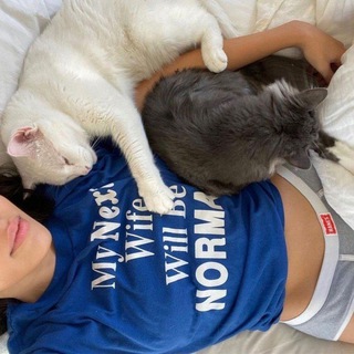 . ゚ ⋆Kitten’s WB 🫐 ִֶָ ||