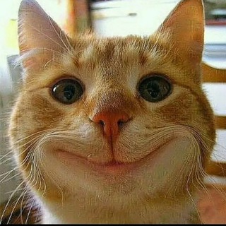 🤣 Ржака 😂