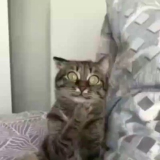 БЕЗУМНЫЙ ЮМОР! 😜