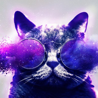 Пурпурный юмор // Мемы, приколы, юмор