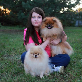 Питомник шпицев “Prima Stella”. Щенки, консультации, уход.