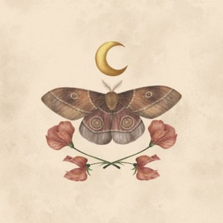 Принцесса из тайги • Фандомные свечи