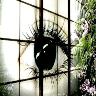 molecular princess||рпп, анорексия, булимия