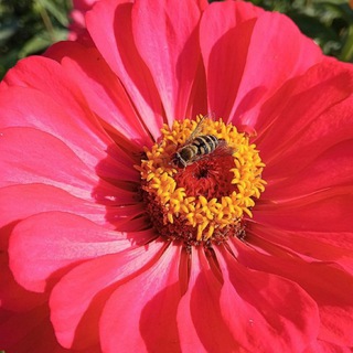 Природа вокруг нас