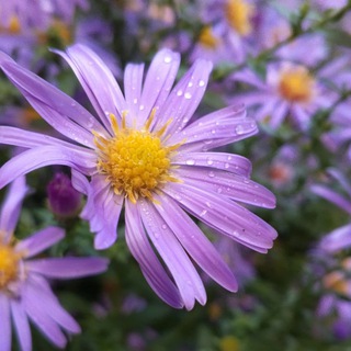 Природная эстетика☘🌷