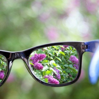 Природа в фокусе