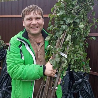 🍎Юматов.Садоводство🍑🍒