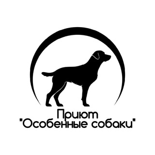 Приют для животных "Особенные Собаки"/Кемерово (Четвероногий Ангел)