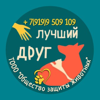 Приют "Лучший друг" Тюмень