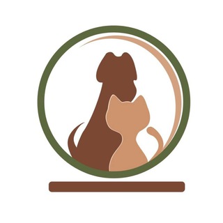 Приют "Островок"🐈