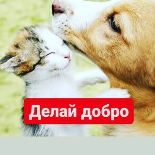 Приют РИЧ "Ценный"🫶