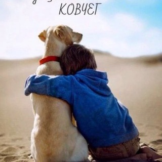 Приют Ковчег