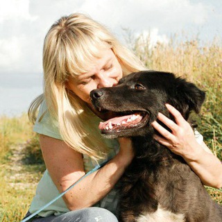 Приют «Тимошка»