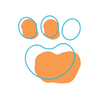 Приют «Вега»