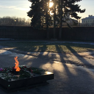 СветоЭлектроМатерия