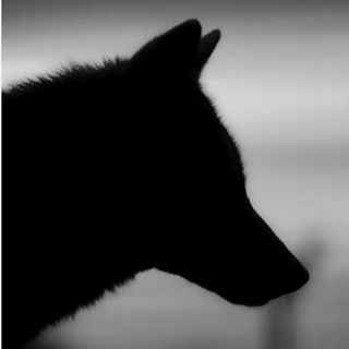 ПВС МБУ"Чистый город"