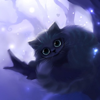 Кошачий приют «Гараж»