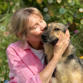 Приют Некрасовка 4 сектор