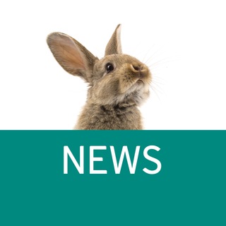 Pro.Expert NEWs - Vaillant, Protherm, VGR