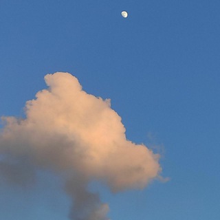 🦋«Про "это" на прогулке»