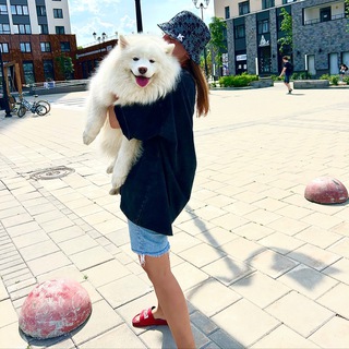 Кино | Вино | и домино