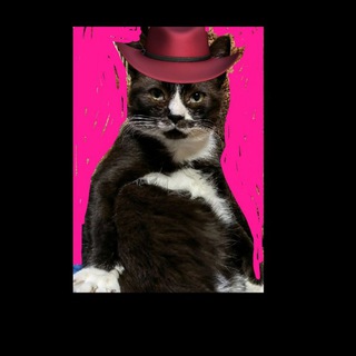 Pro новостройки Москвы