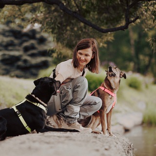 Про собак и людей