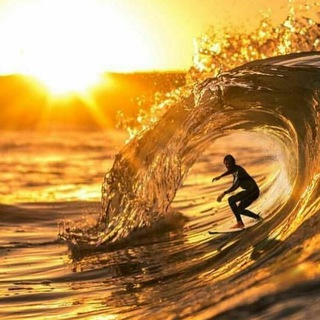 ПРО Серфинг 🏄🌴