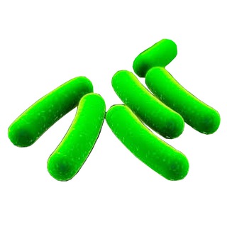 МИКРОБИОМ КОЛЧИНА