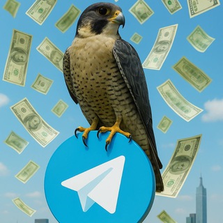 Продать канал | группу. Биржа чатов SOKOL.