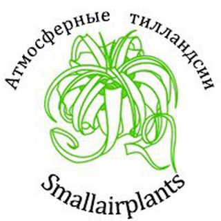 SmallAirPlants - Маленькие Атмосферные Растения