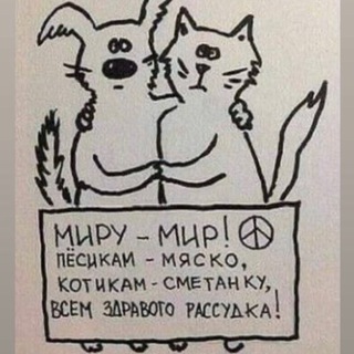 Финансовые возможности. Текущие цифры.