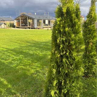 Проект на Даче