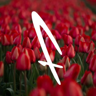 Профессионал | profi-mag.com