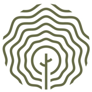 ☘️ ПРОФИ КЛИНИК ☘️