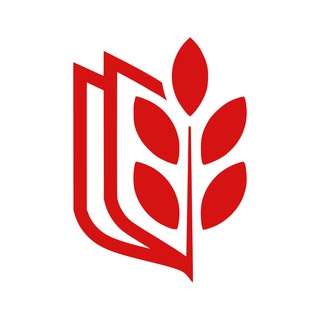 Профком студентов СибАДИ