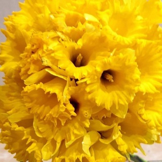 Прогулки на фото