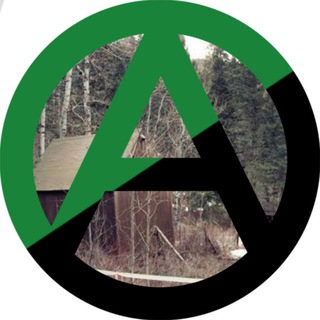 Проект "ПОРА"