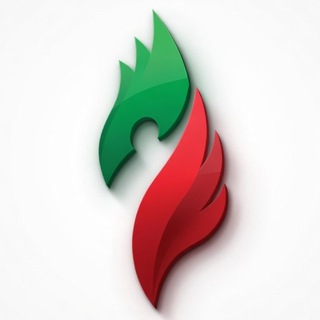 Молодёжная организация Группы «Татнефть»