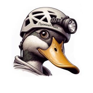 Промальп Ньюс