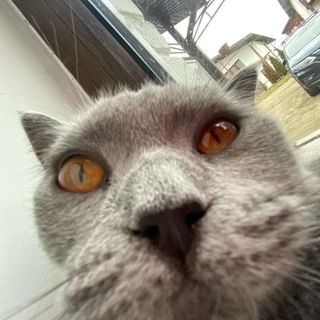 Программы / Читы на игры.