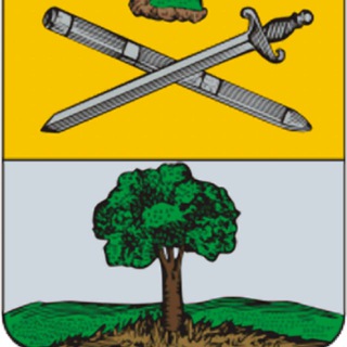 Генеалогия. Пронский уезд и Каменский стан