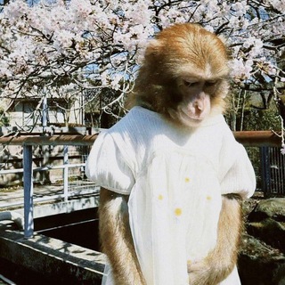 пруфы simix_gr8